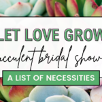 40 Prickly Ideas for a Succulent Bridal Shower 2024