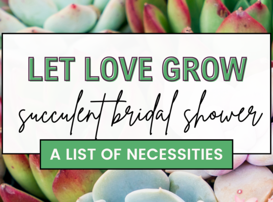 She's a succa for his love! Here you'll find a complete list of items and ideas that you need to host a succulent bridal shower.